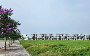 Ninh Bình: 90 căn nhà tại 2 dự án hơn 818 tỷ đồng đủ điều kiện kinh doanh