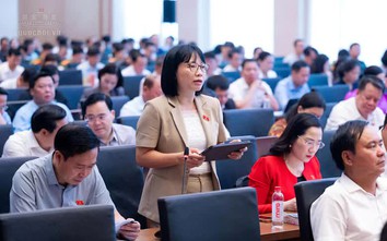 Cân nhắc việc áp dụng dừng xuất cảnh, cắt điện, nước trong xử phạt vi phạm hành chính