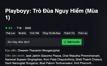 Cục Điện ảnh yêu cầu iQIYI gỡ bỏ phim "Playboyy: Trò đùa nguy hiểm"