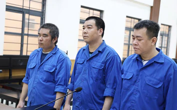 An Giang: 3 bị cáo lĩnh án vì cướp 54 tấn cá tra trừ tiền nợ