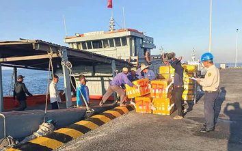 Cảng Bến Đình ở Quảng Ngãi chính thức tiếp nhận tàu hàng cập cảng