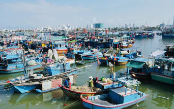 Khánh Hòa: Cảnh báo nguy cơ cháy tàu cá khi neo đậu tại cảng