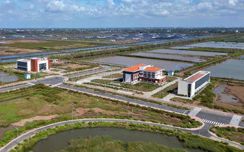 Bài cuối: Thanh tra toàn diện, phát huy hiệu quả Khu công nghệ cao tôm Bạc Liêu