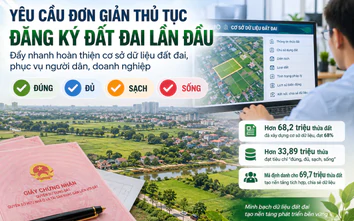 Yêu cầu đơn giản thủ tục đăng ký đất đai lần đầu