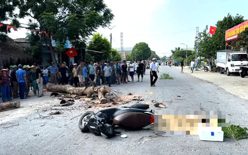 Thanh Hóa: Bị cây ven đường đổ trúng, người đi xe máy tử vong thương tâm