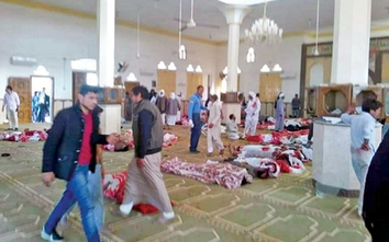 Việt Nam chia buồn với Ai Cập sau vụ tấn công đẫm máu