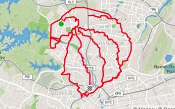 Đạp xe tạo hình mừng Quốc khánh Singapore