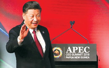 Một năm đối ngoại của ông Tập Cận Bình thu được những gì?