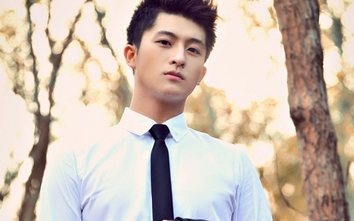 Harry Lu chấn thương nghiêm trọng vì TNGT