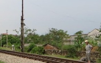 Chạy qua đường ngang dân sinh, 7 con trâu bị tàu hỏa tông chết