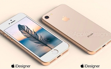 iPhone SE 2 sẽ ra mắt ngay năm nay với màn hình 4,2-inch