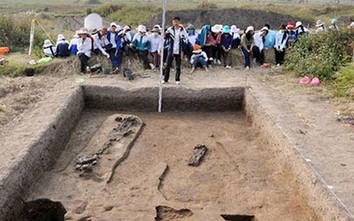 Yêu cầu kiểm tra thông tin san lấp di chỉ khảo cổ Vườn Chuối