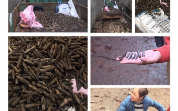 Rùng mình đầu đạn vương vãi khắp nơi trong vụ nổ ở Bắc Ninh