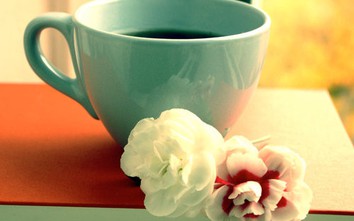 12 cung hoàng đạo thứ Tư ngày 2/8/2017