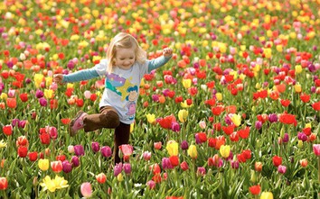 12 cung hoàng đạo thứ Năm ngày 3/8/2017