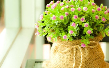 12 cung hoàng đạo Chủ nhật ngày 30/7/2017