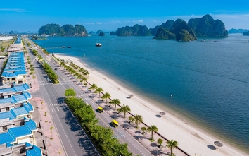 Lời giải tối ưu cho bài toán đầu tư tại “vùng trũng giá” Cẩm Phả