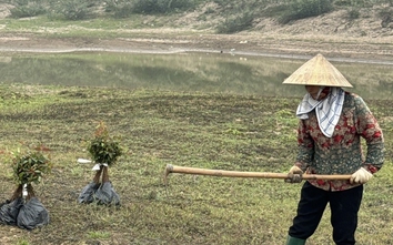 Phú Thọ: Có hay không việc Công ty Nhật Linh khai thác ngoài mốc giới?