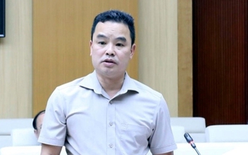 Phú Thọ: Tạm giữ ông Lê Trường Giang - Giám đốc Khu di tích lịch sử Đền Hùng