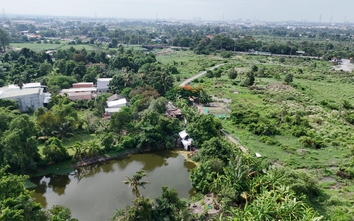 Thành phố Hồ Chí Minh: Cận cảnh khu đất làm Depot Metro Bến Thành - Tân Kiên thành nơi thả gia súc