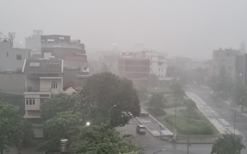 TP Hạ Long (Quảng Ninh): Chủ động ứng phó với bão số 2