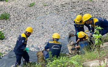 Đà Nẵng: Cá chết tại hồ Hòa Phú do nước thải từ mương hở thượng nguồn bãi rác đổ về