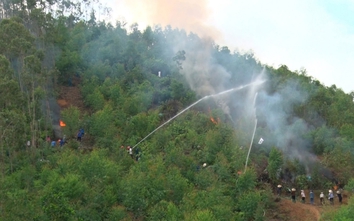 Lập Thạch (Vĩnh Phúc): Diễn tập ứng phó sự cố cháy rừng và tìm kiếm cứu nạn tại xã Bắc Bình