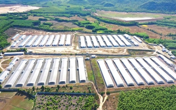 Chấm dứt hoạt động dự án chăn nuôi, sản xuất giống gia cầm công nghệ cao 4.0 Minh Dư Bình Định