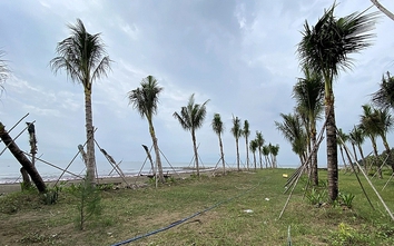 Công ty TNHH Gió Lộng – Mai Hồng Quế phản hồi nội dung liên quan đến bài viết đăng trên Báo điện tử Xây dựng