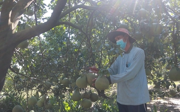 Bạch Đằng - “Làng thông minh” tiên phong của Bình Dương
