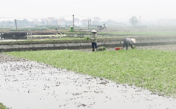 Bắc Giang: Chủ động ứng phó với không khí lạnh tăng cường