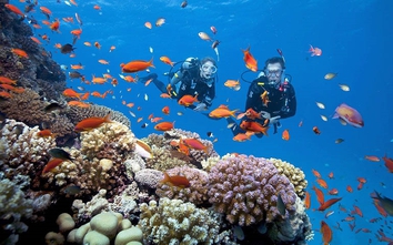 Everland Group nỗ lực kiến tạo hệ sinh thái du lịch vịnh Bái Tử Long