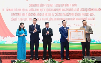 Hà Nội: Ba huyện đón nhận Quyết định đạt chuẩn nông thôn mới nâng cao