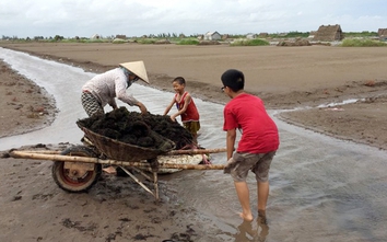 Nam Định: Thu hồi hơn 51ha đất của Công ty Cổ phần Đầu tư và Phát triển Đại Dương