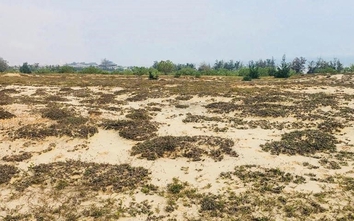 Quảng Bình: Thu hồi hơn 70.000m2 đất tại dự án của Công ty Cổ phần Đông Dương Miền Trung