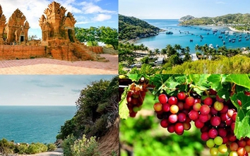 Ninh Thuận tổ chức 31 hoạt động quảng bá, xúc tiến du lịch trong năm 2025