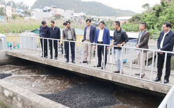 Hải Phòng: Xử lý nước thải sinh hoạt tại thị trấn Cát Bà mới đạt khoảng 50%