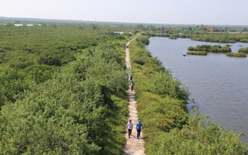 Nam Định: Triển khai công tác phòng cháy, chữa cháy rừng trên địa bàn
