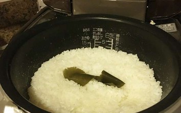 Ra biển vớt được “thần dược” này, người Nhật ăn mỗi ngày giúp khỏe mạnh, trường thọ