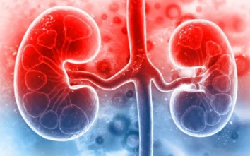 4 triệu chứng cho thấy căn bệnh viêm cầu thận đang đe dọa bạn