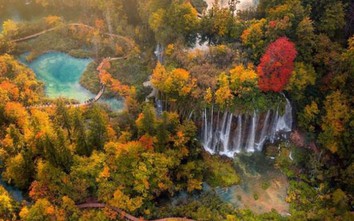 Lạc trôi trong những sắc màu rực rỡ của mùa thu châu Âu