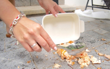 Có thể ăn thức ăn rơi xuống đất không? Chuyên gia chỉ ra điều quan trọng hơn quy tắc 5 giây