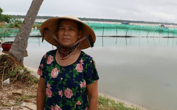 Video: Hàng trăm người dân ở Phú Yên trắng tay sau bão số 5