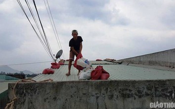 Bình Định, Quảng Ngãi cho học sinh nghỉ học ngày 11/11 để tránh bão