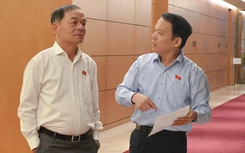 Tách Luật Giao thông đường bộ: Nên lấy ý kiến Quốc hội