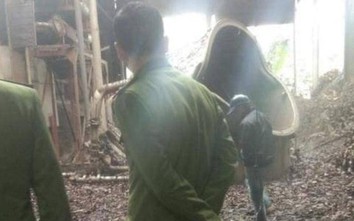 Yên Bái: Nổ nồi hơi tại cơ sở chưng cất tinh dầu quế, một cụ bà tử vong