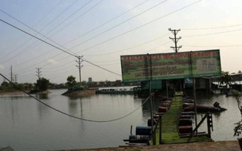 Chủ tịch Hải Phòng: "Hồ điều hòa bị ô nhiễm, chính quyền chịu trách nhiệm"