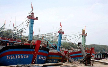Nhiều chủ tàu cá 67 đứng trước nguy cơ mất nhà