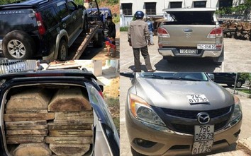 Thêm tài xế vận chuyển gỗ lậu ở Thừa Thiên Huế bị phạt, tịch thu ô tô