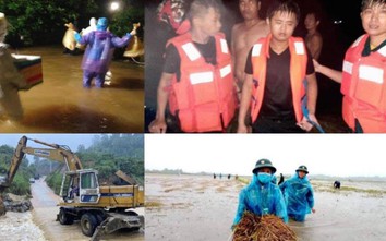 Bão số 5 Côn Sơn: Nhiều quốc lộ, đường Trường Sơn Đông sạt lở nghiêm trọng